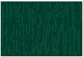 Fenêtre PVC Couleur Vert Mousse veiné