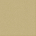 Fenêtre Aluminium Couleur Champagne clair