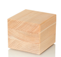 fenêtre bois essence Mélèze